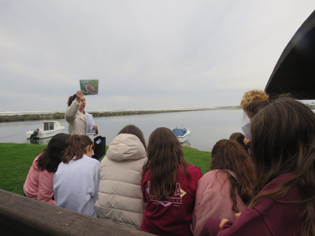 Escola Básica António Correia de Oliveira participou no trilho “À Descoberta da Biodiversidade” 4 1 4
