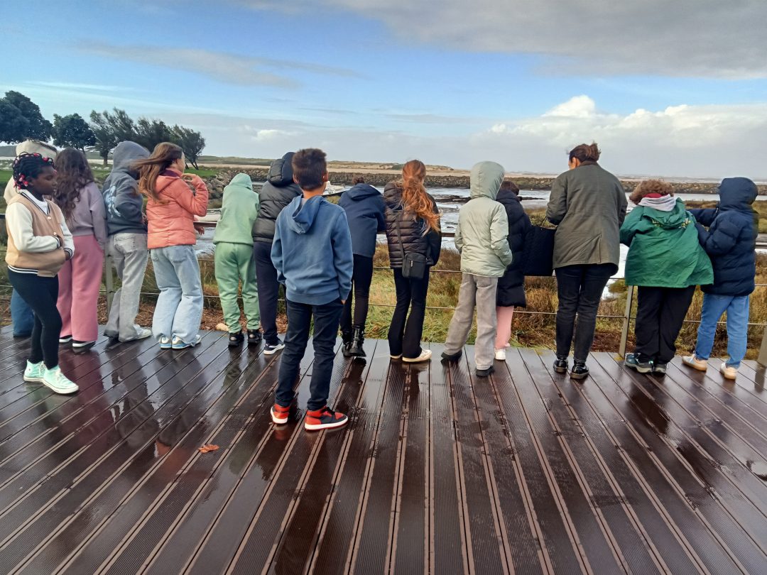 Escola Básica António Correia de Oliveira participou no trilho “À Descoberta da Biodiversidade” 6 IMG20251106090011