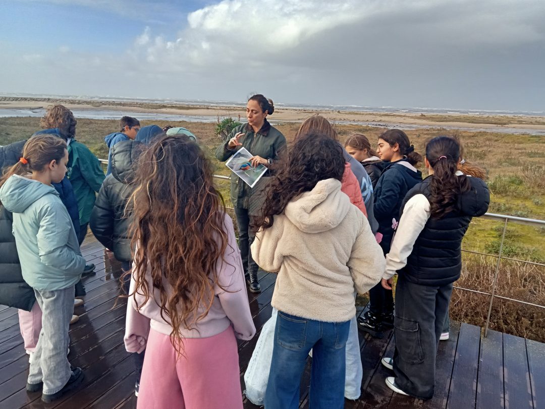 Escola Básica António Correia de Oliveira participou no trilho “À Descoberta da Biodiversidade” 7 IMG20251106092201