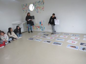 IMG 7491