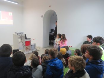 IMG 7601
