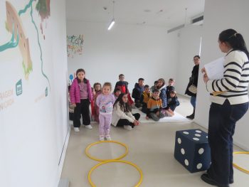 IMG 7654