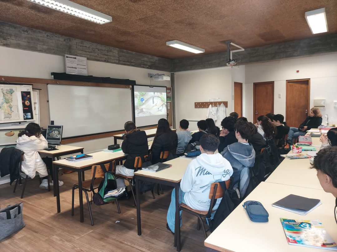 Escola Básica de Forjães participa na oficina “O Planeta Água” 1 20260203 111618