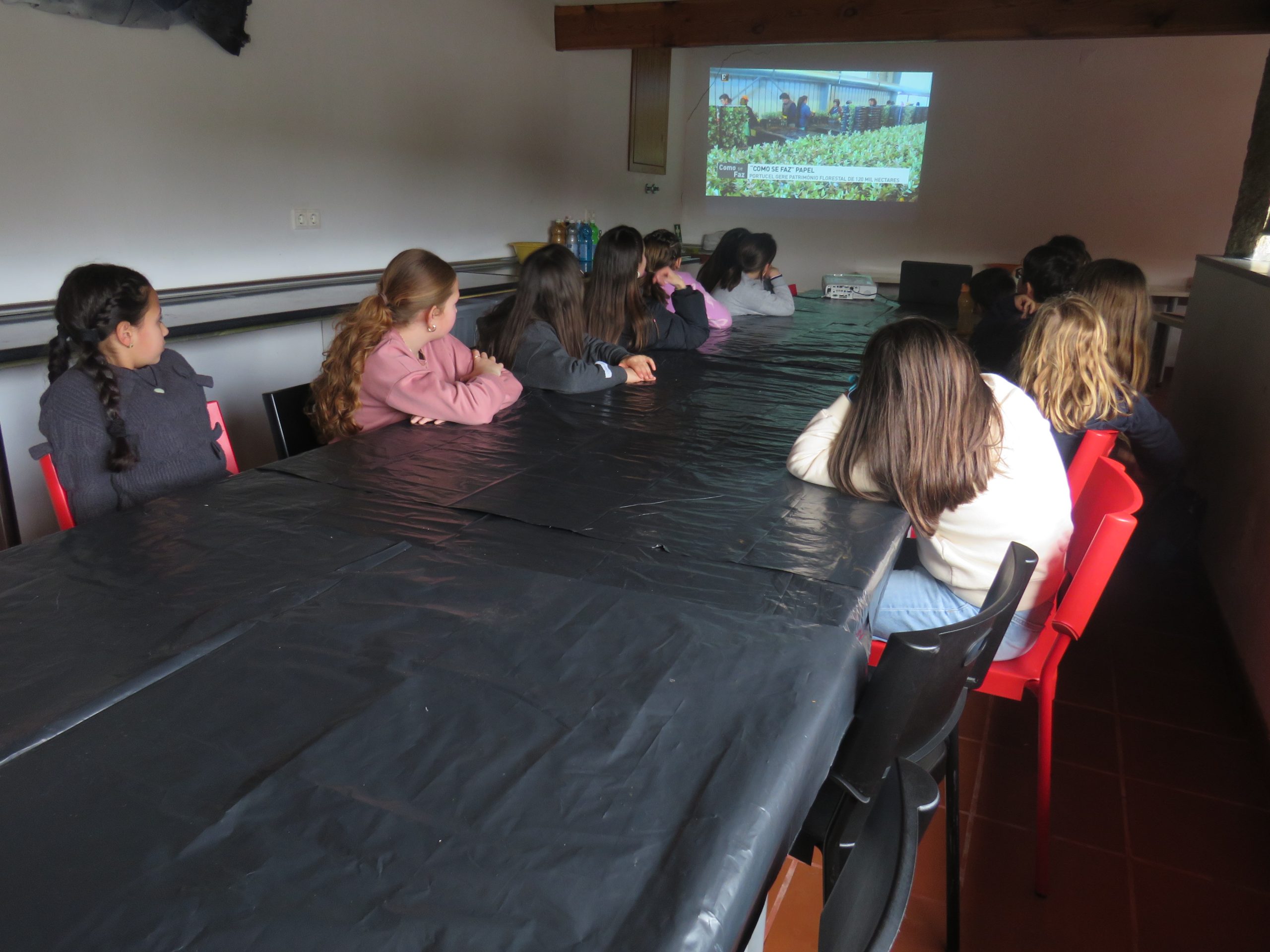 Escola Básica de Apúlia regressou ao CEA para Oficina "Vamos Reciclar Papel" 2 IMG 8162 scaled