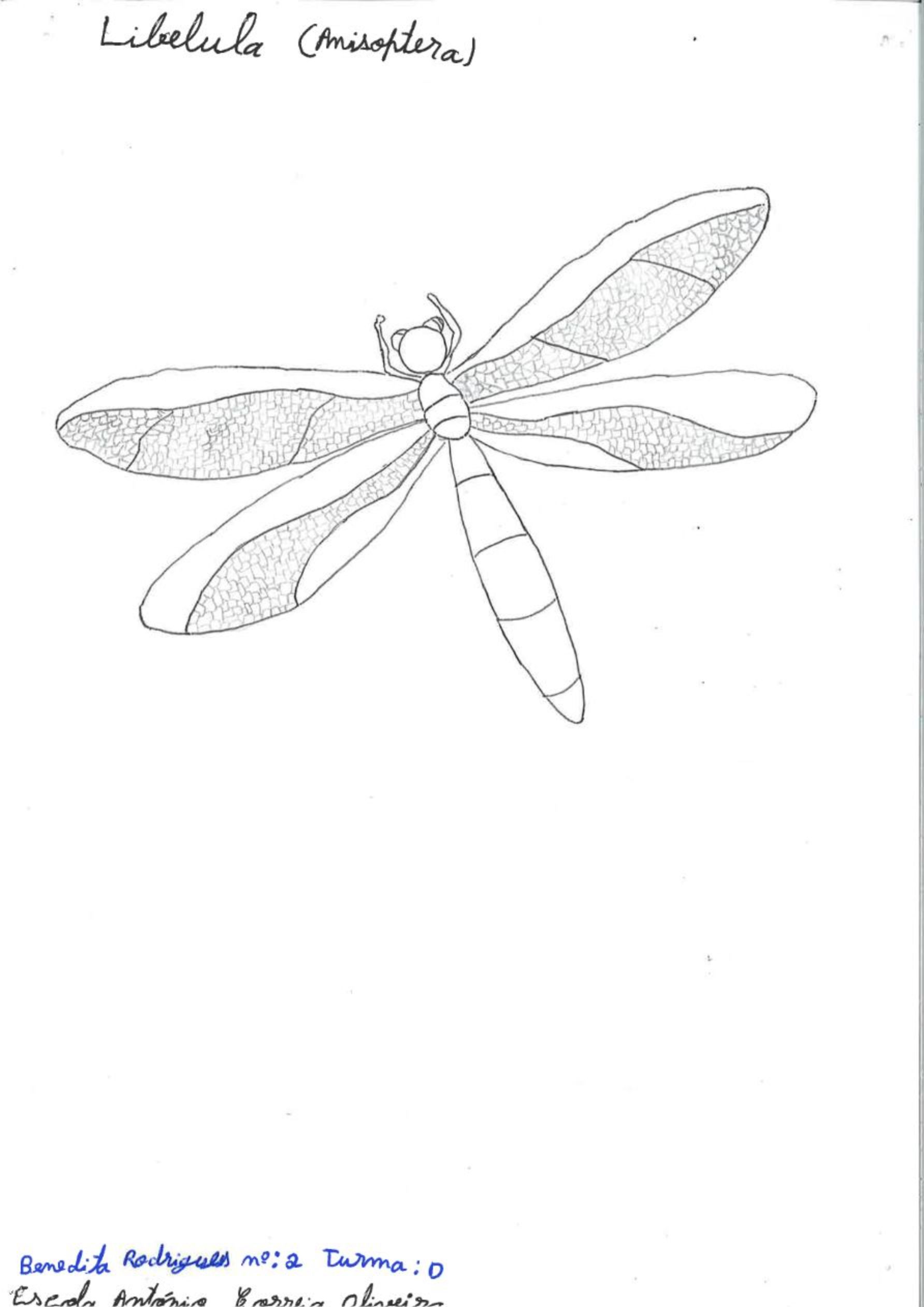 Trabalhos do #desafio14 sobre Dia Mundial da Vida Selvagem já se encontram disponíveis 1 Benedita Rodrigues EBACO 5D