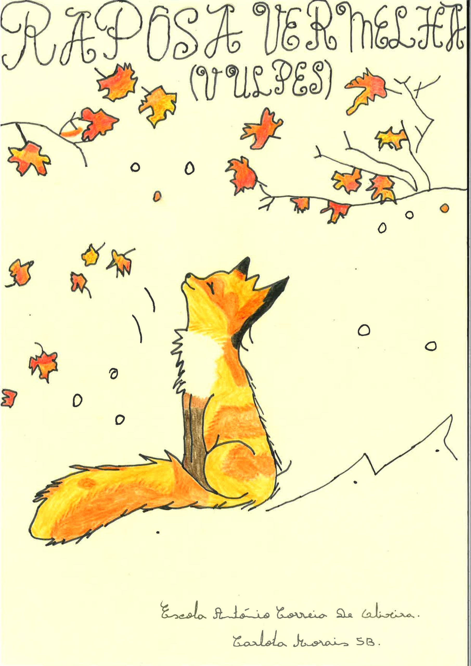 Trabalhos do #desafio14 sobre Dia Mundial da Vida Selvagem já se encontram disponíveis 2 Carlota Morais EBACO 5B scaled