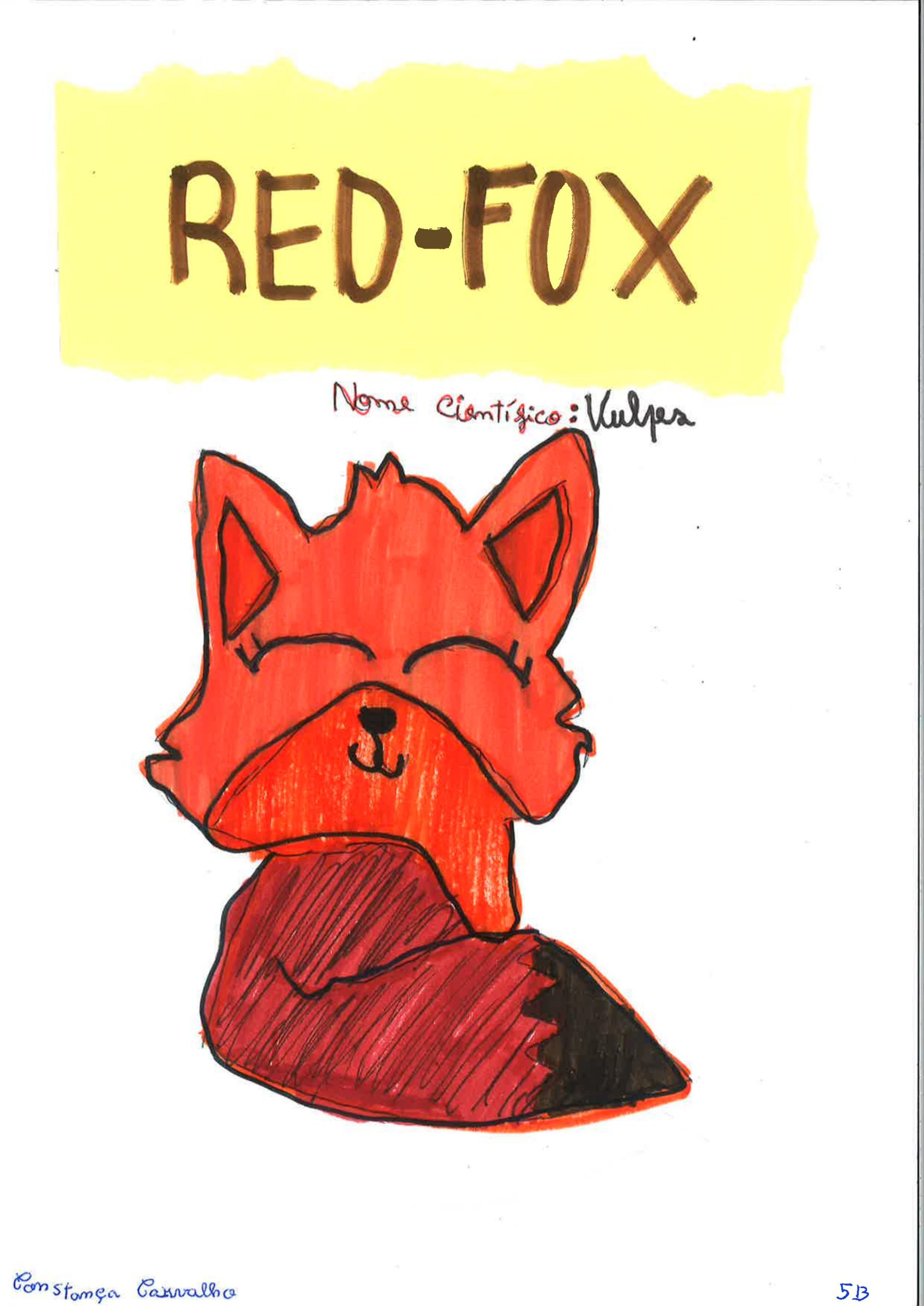 Trabalhos do #desafio14 sobre Dia Mundial da Vida Selvagem já se encontram disponíveis 3 Constanca Carvalho EBACO 5B scaled