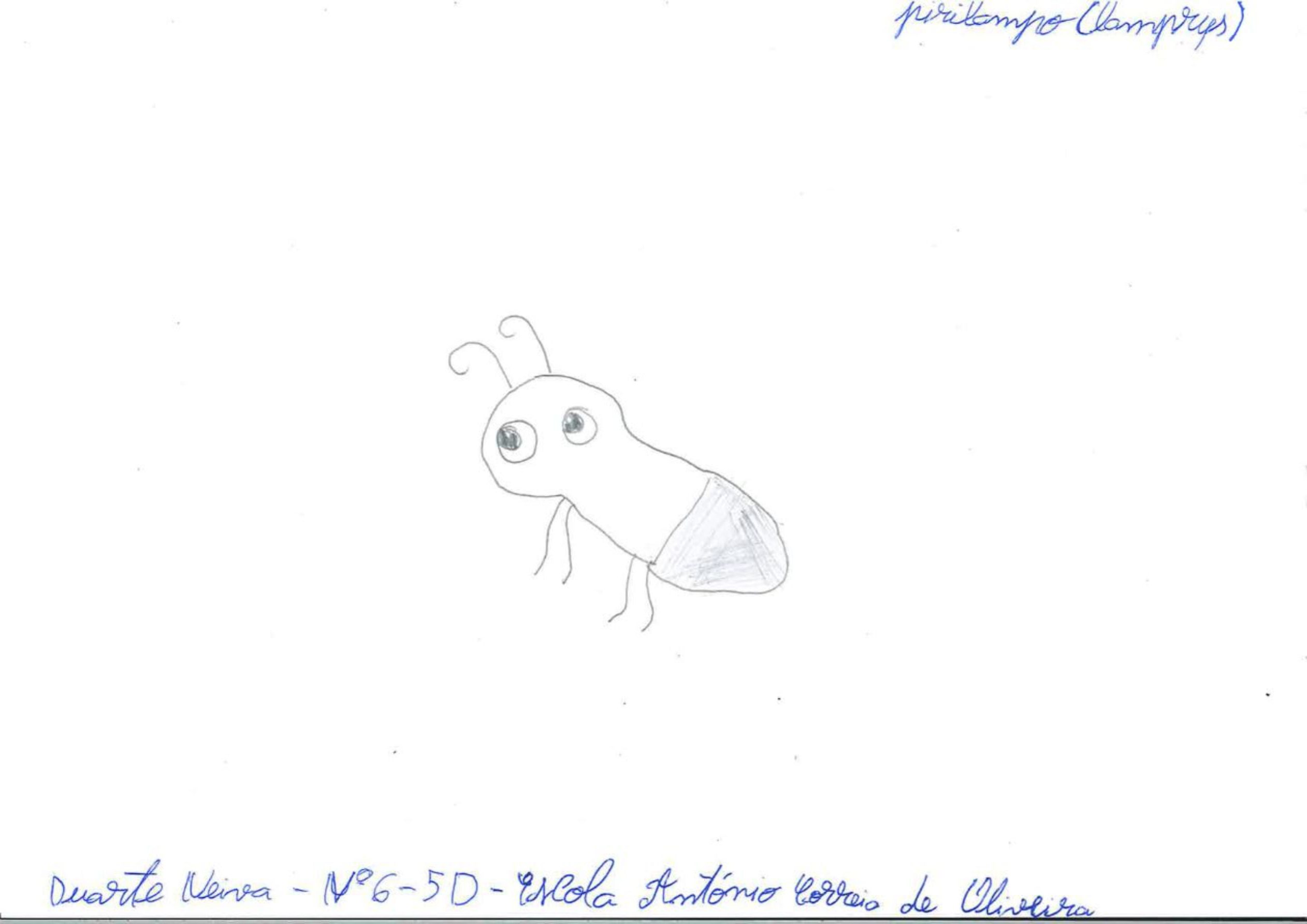 Trabalhos do #desafio14 sobre Dia Mundial da Vida Selvagem já se encontram disponíveis 9 Duarte EBACO 5D rotated