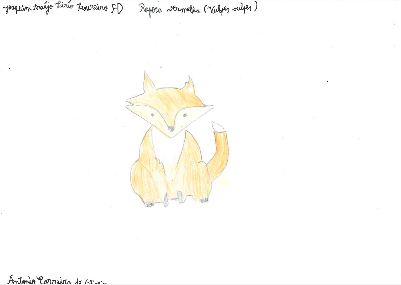 Trabalhos do #desafio14 sobre Dia Mundial da Vida Selvagem já se encontram disponíveis 25 JoaquimLoureiro EBACO 5D