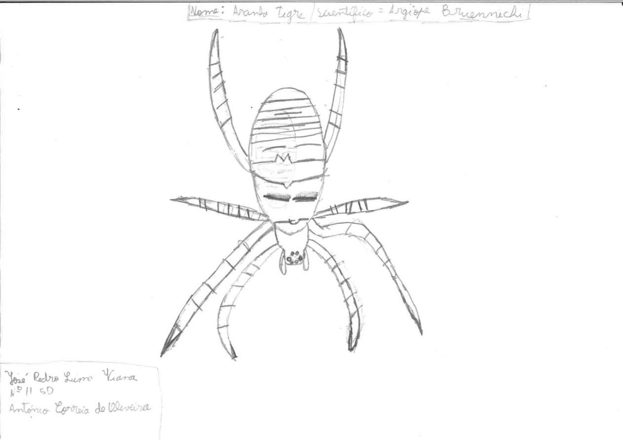 Trabalhos do #desafio14 sobre Dia Mundial da Vida Selvagem já se encontram disponíveis 12 Jose Viana EBACO 5D rotated