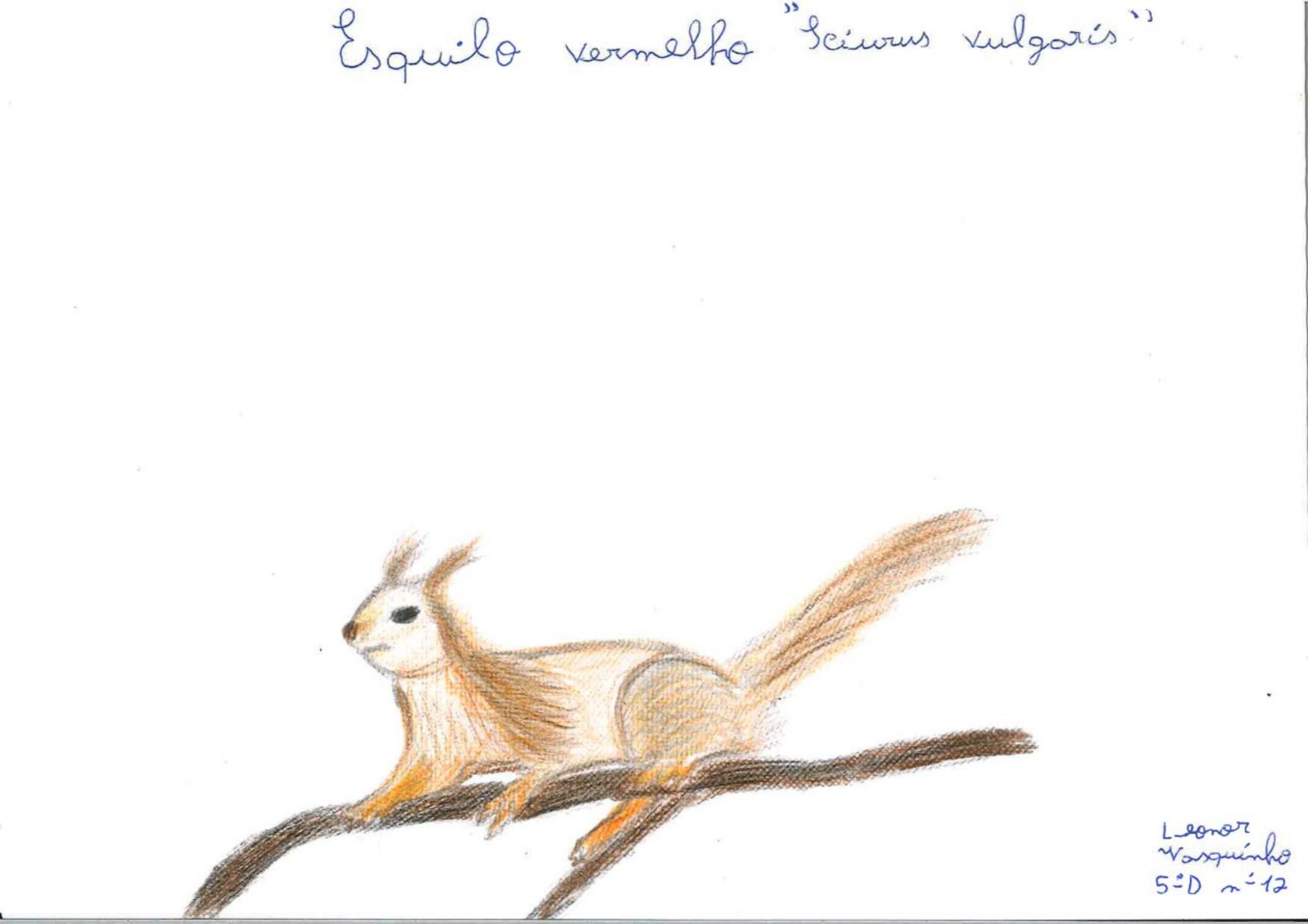 Trabalhos do #desafio14 sobre Dia Mundial da Vida Selvagem já se encontram disponíveis 13 Leonor Vasquinho EBACO 5D rotated