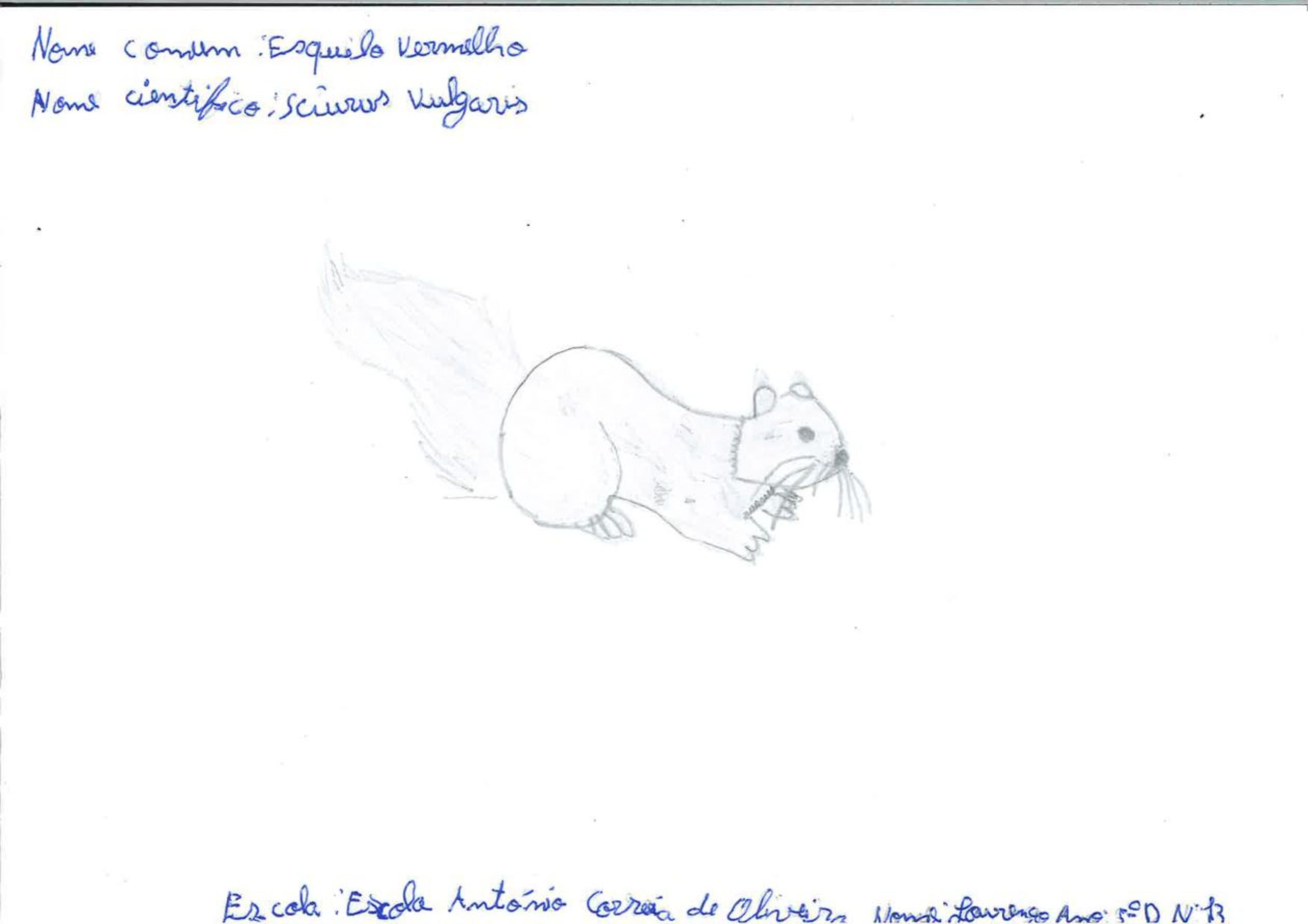 Trabalhos do #desafio14 sobre Dia Mundial da Vida Selvagem já se encontram disponíveis 14 Lourenco EBACO 5D rotated