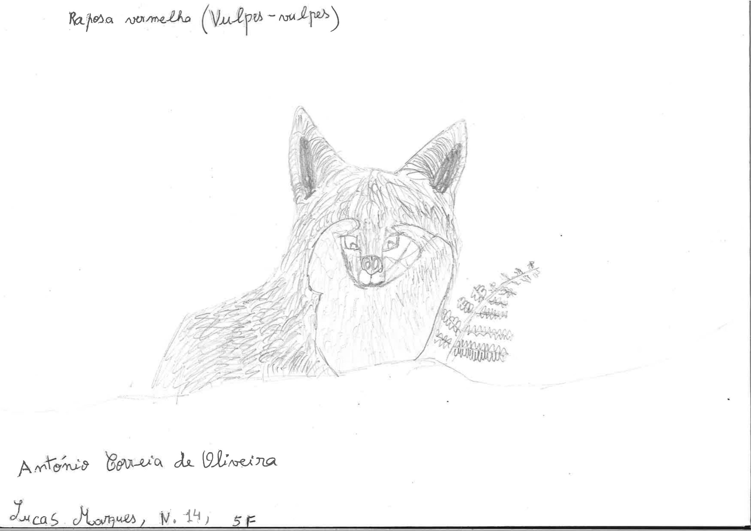 Trabalhos do #desafio14 sobre Dia Mundial da Vida Selvagem já se encontram disponíveis 15 Lucas EBACO 5F scaled