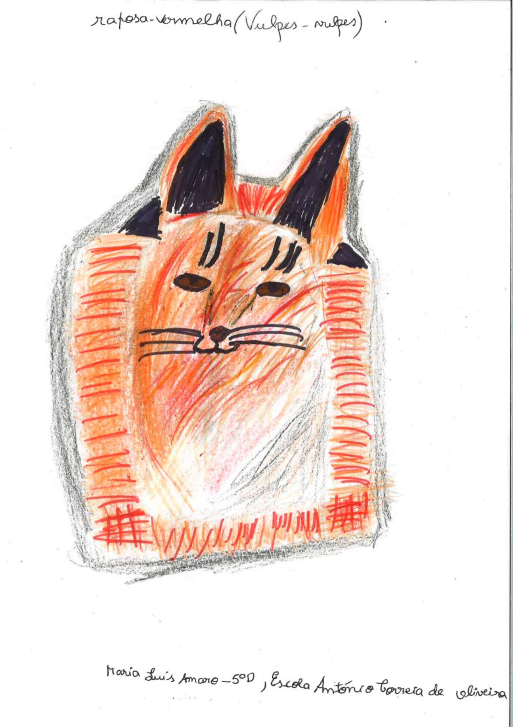 Trabalhos do #desafio14 sobre Dia Mundial da Vida Selvagem já se encontram disponíveis 24 MariaLuisAmaro EBACO 5D