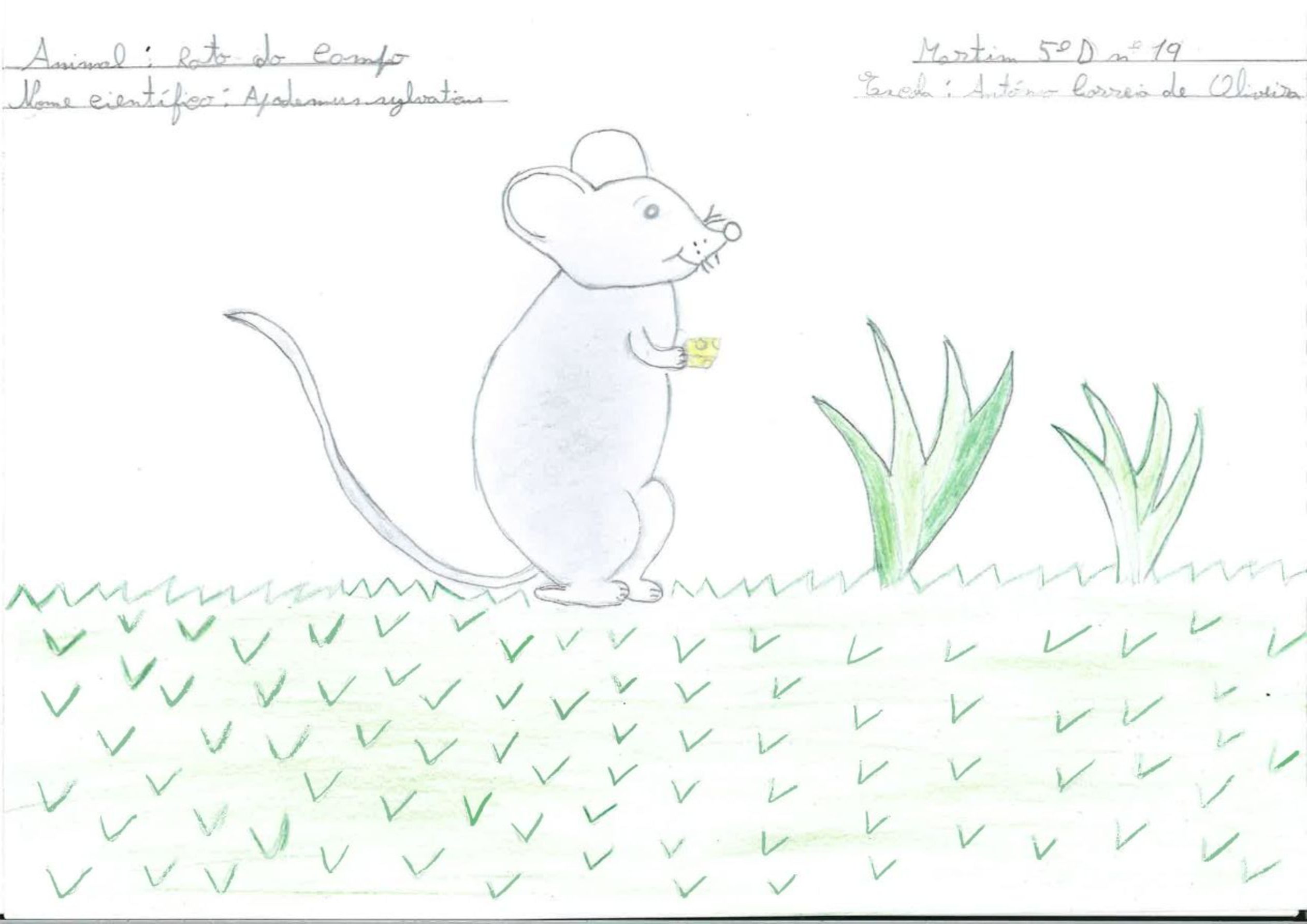 Trabalhos do #desafio14 sobre Dia Mundial da Vida Selvagem já se encontram disponíveis 18 Martim1 EBACO 5D rotated