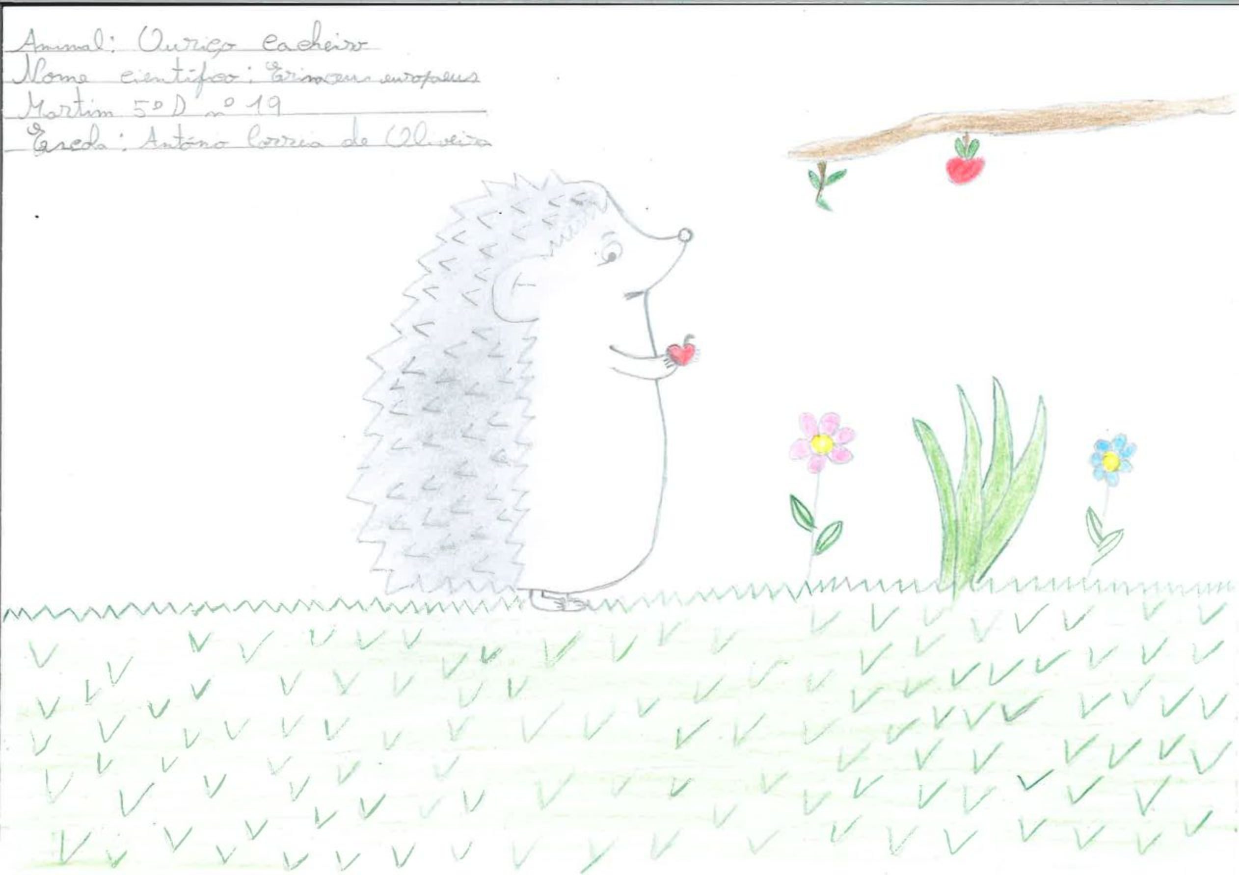 Trabalhos do #desafio14 sobre Dia Mundial da Vida Selvagem já se encontram disponíveis 17 Martim EBACO 5D rotated