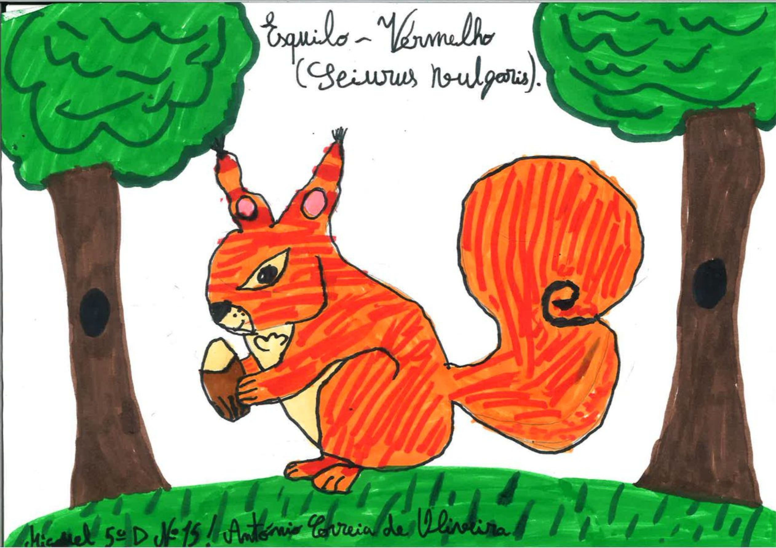 Trabalhos do #desafio14 sobre Dia Mundial da Vida Selvagem já se encontram disponíveis 19 Miguel Ramiao EBACO 5D rotated