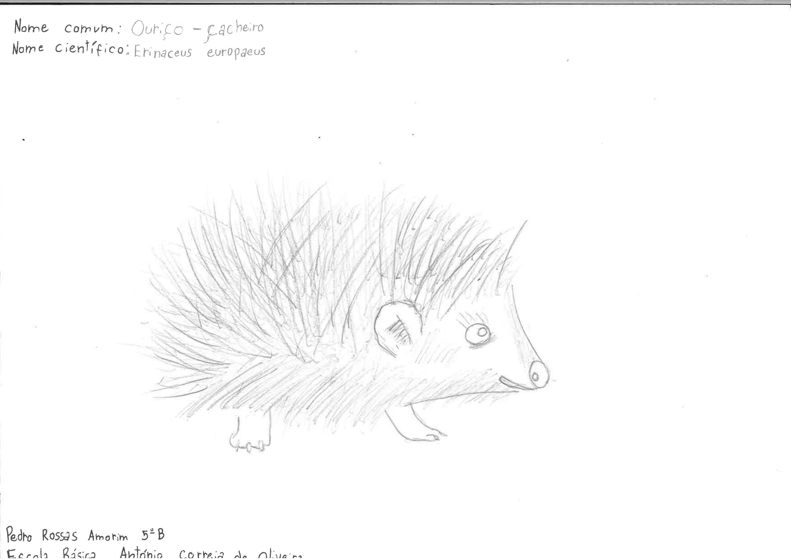 Trabalhos do #desafio14 sobre Dia Mundial da Vida Selvagem já se encontram disponíveis 20 Pedro Amorim EBACO 5B scaled