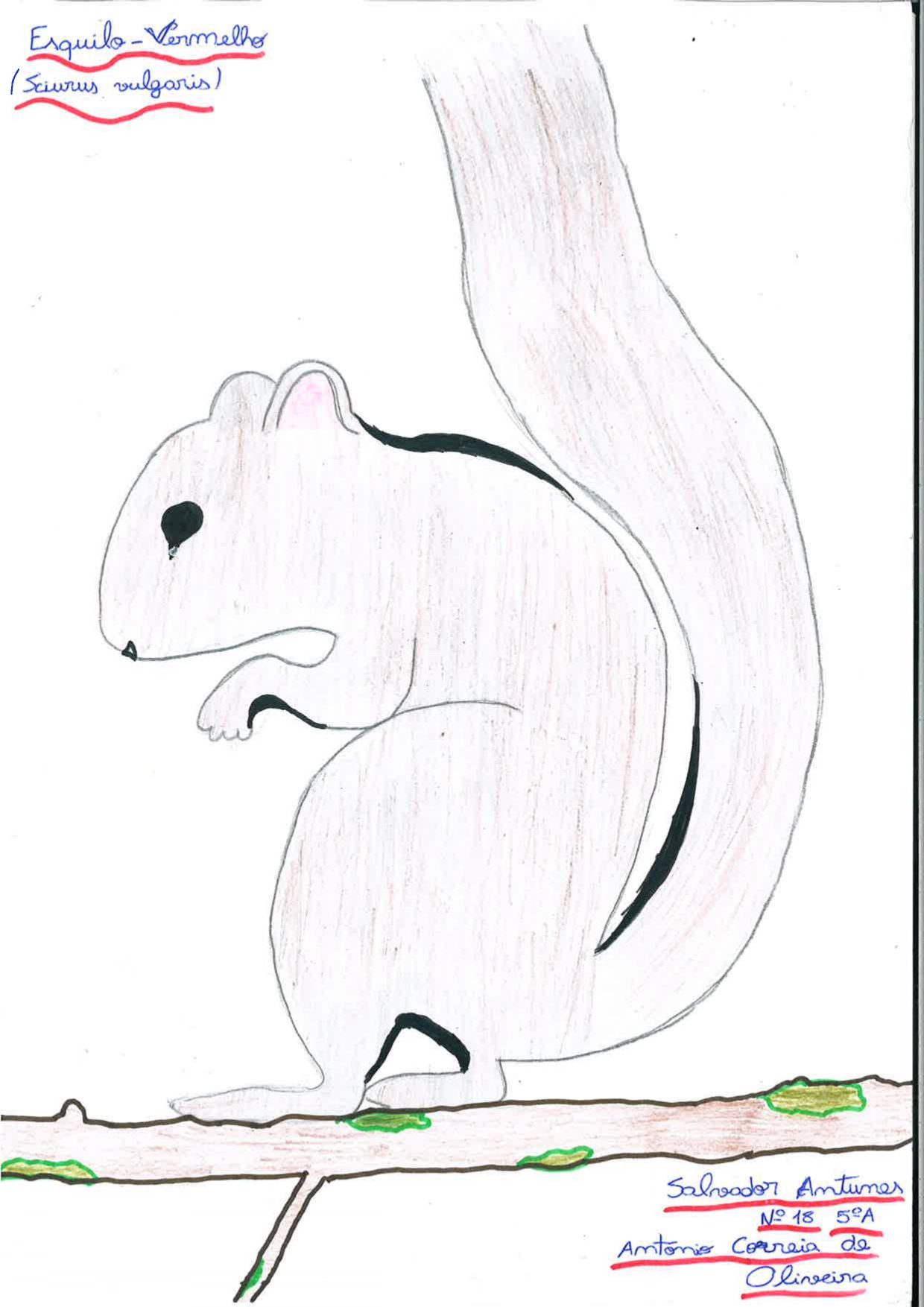 Trabalhos do #desafio14 sobre Dia Mundial da Vida Selvagem já se encontram disponíveis 23 Salvador Antunes EBACO 5A