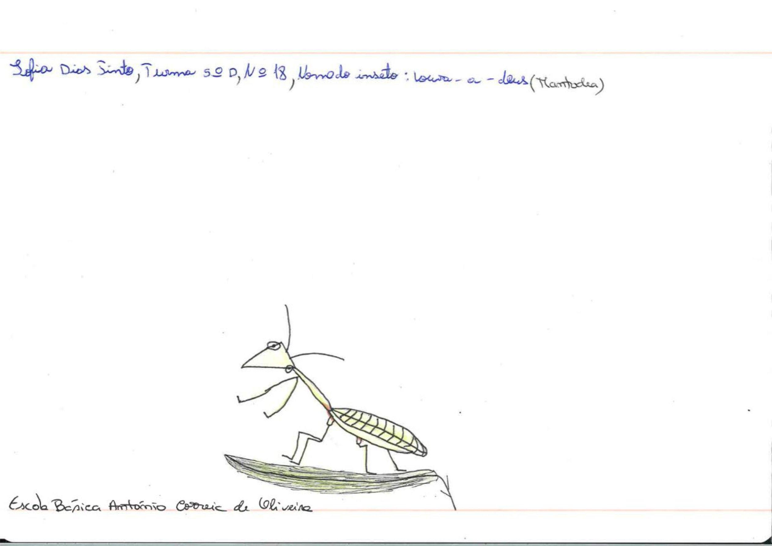 Trabalhos do #desafio14 sobre Dia Mundial da Vida Selvagem já se encontram disponíveis 21 Sofia Pinto EBACO 5D rotated