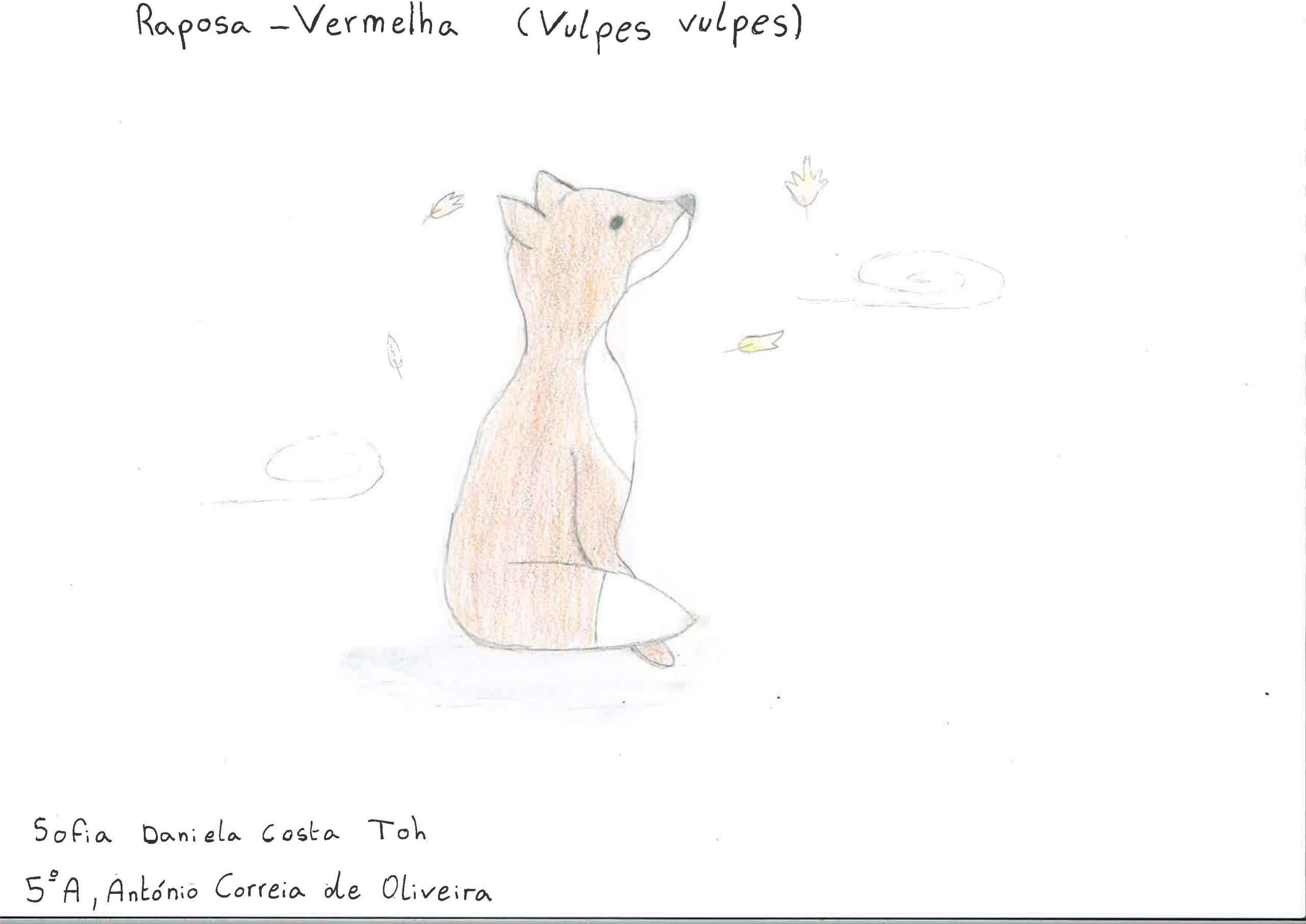 Trabalhos do #desafio14 sobre Dia Mundial da Vida Selvagem já se encontram disponíveis 22 Sofia Toh EBACO 5A scaled