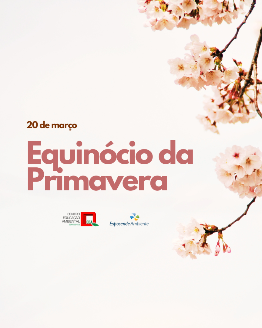 primavera