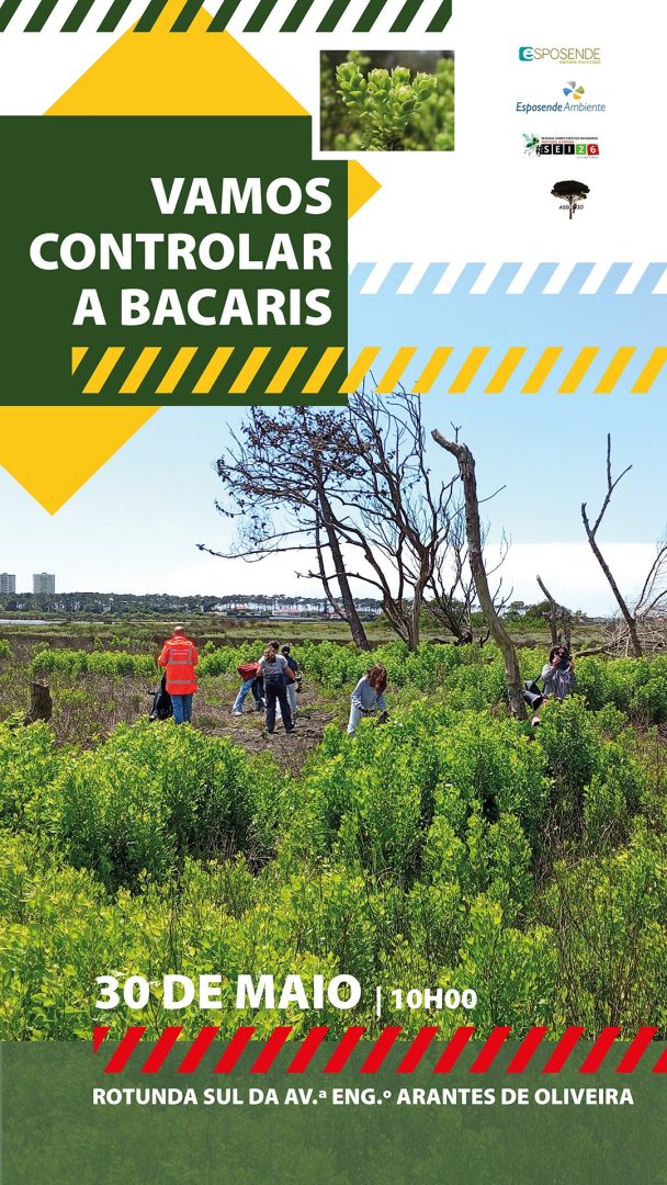 BACARIS 1080 x 1920