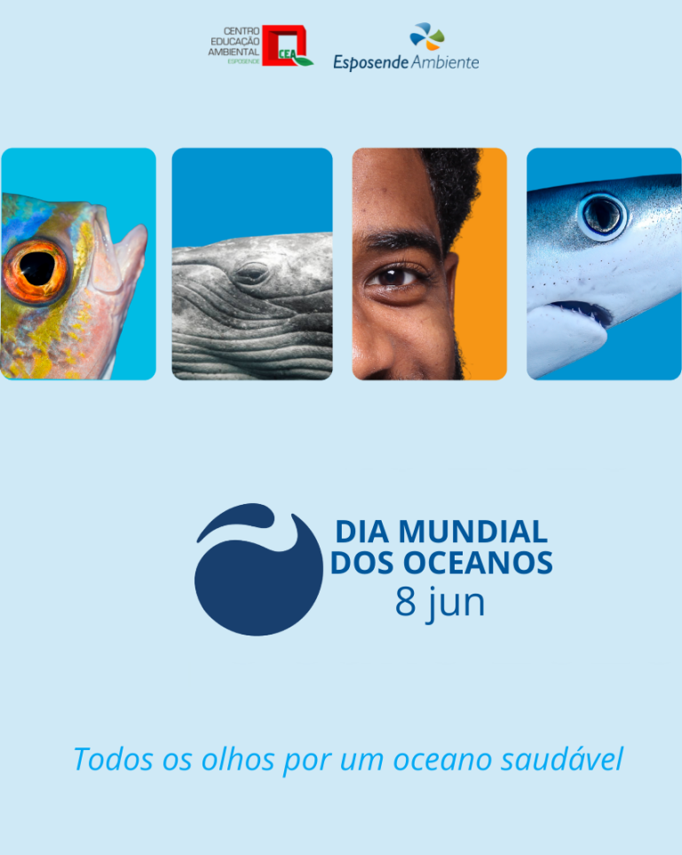 Dia Mundial dos Oceanos | 8 junho 1 Publicacao do Instagram 1080x1080 px