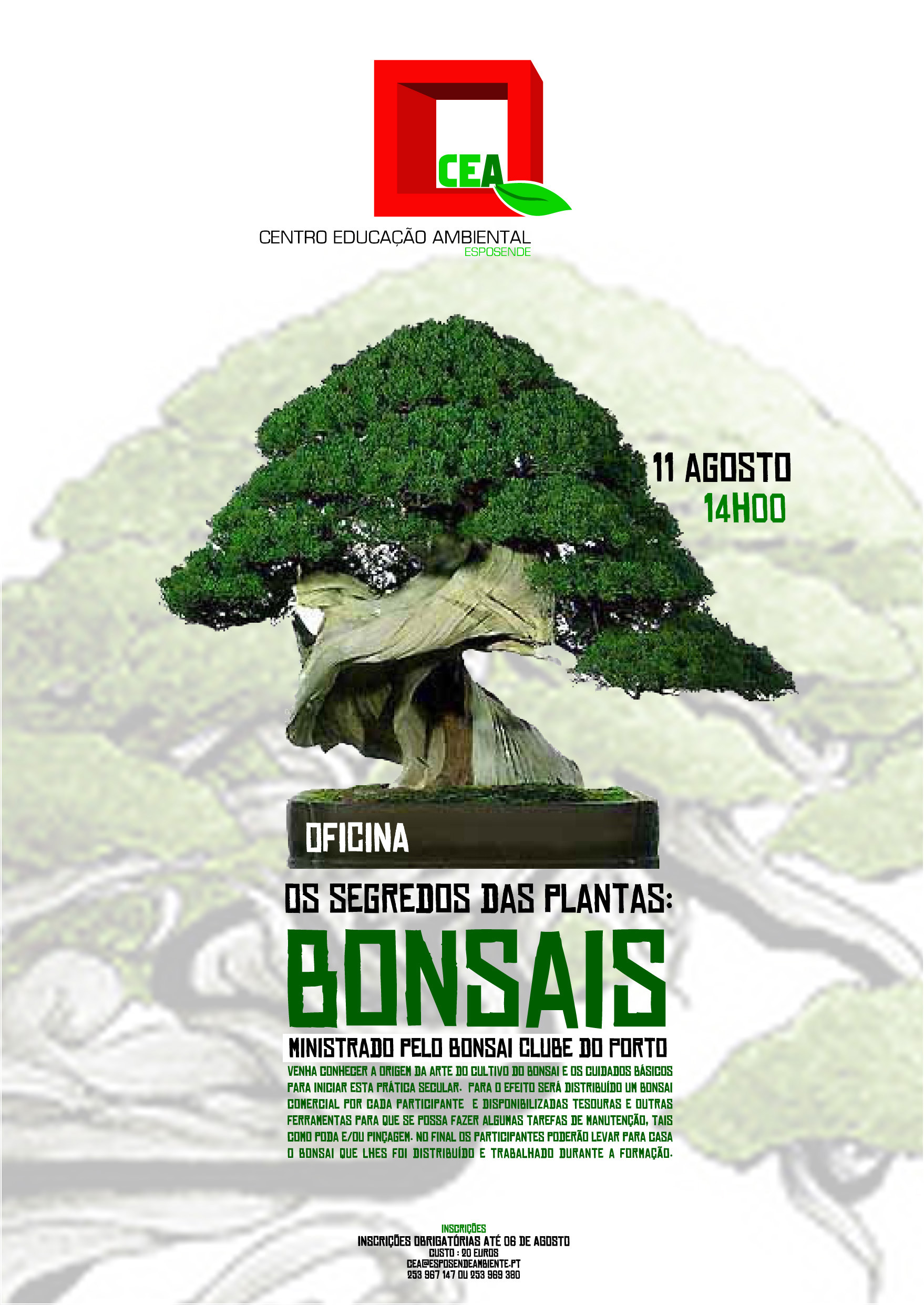 1bonsais