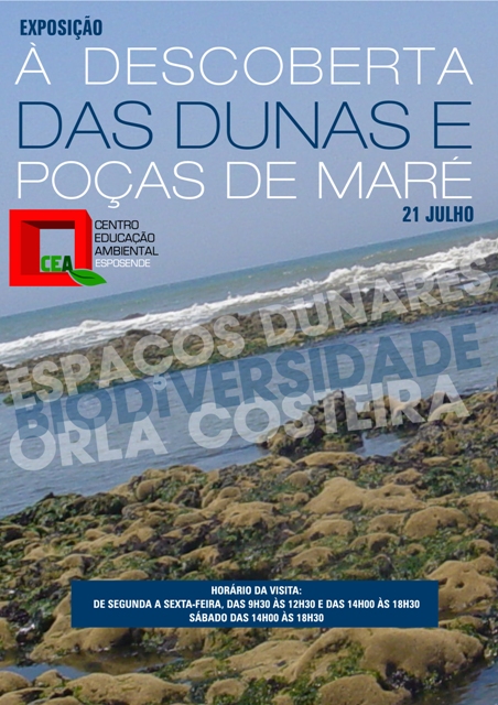 3cartaz