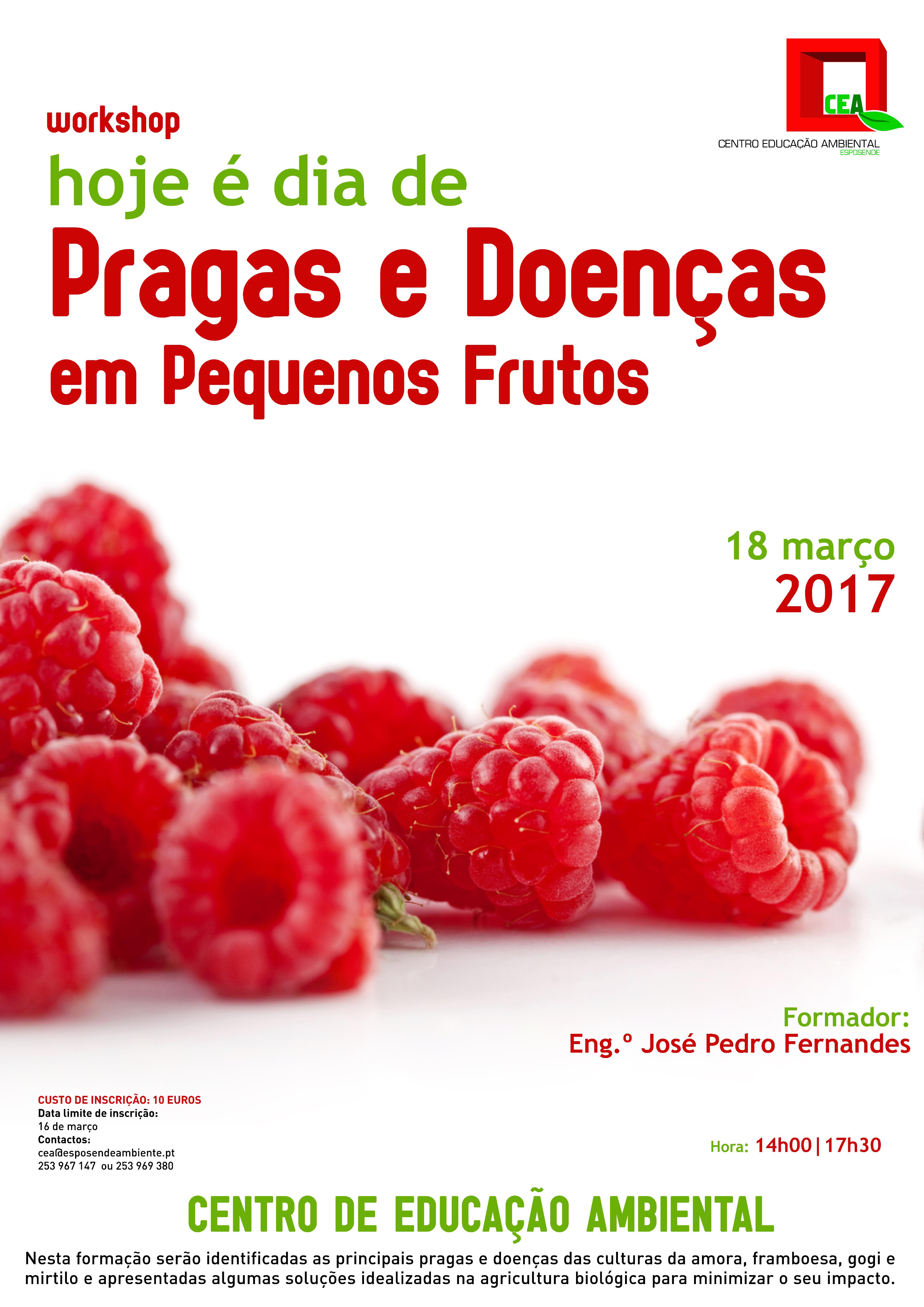 PEQUENOS FRUTOS
