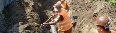 bannerCampanhaIsencao