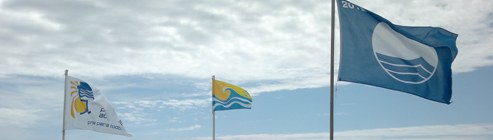 bannerDestBalnear