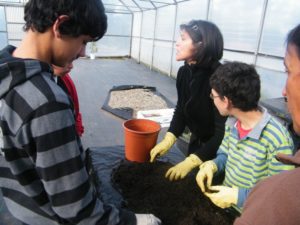 crescercomanatureza 1