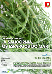 SALICORNIA CARTAZ 1