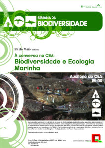 A CONVERSA 1