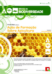 AcaoFormacao Apicultura 1