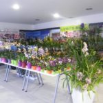 DSCF0717 1