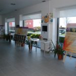 exporquideas 1