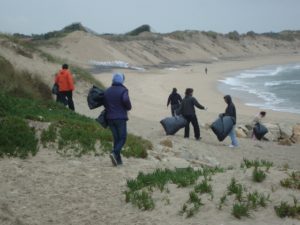 Iniciativas oceanicas 2
