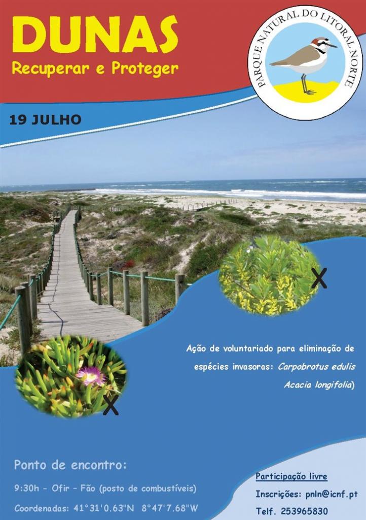 Dunas - Recuperar e proteger Dunas Recuperar e proteger 1