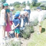 Academia Praxis aprendeu a fazer um Herbário 1 OfComoFazerHerbarioPraxis 1 1
