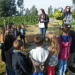 Jardim de Infância da Santa Casa da Misericórdia de Fão participa na iniciativa Vamos Ajudar a Maria Repolha! 1 JIFao 11 1