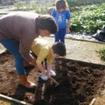 Jardim de Infância da Santa Casa da Misericórdia de Fão participa na iniciativa Vamos Ajudar a Maria Repolha! 13 JIFao 14 1