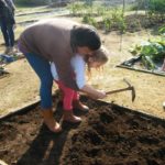 Jardim de Infância da Santa Casa da Misericórdia de Fão participa na iniciativa Vamos Ajudar a Maria Repolha! 15 JIFao 17 1