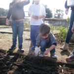Jardim de Infância da Santa Casa da Misericórdia de Fão participa na iniciativa Vamos Ajudar a Maria Repolha! 16 JIFao 18 1