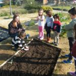 Jardim de Infância da Santa Casa da Misericórdia de Fão participa na iniciativa Vamos Ajudar a Maria Repolha! 3 JIFao 31 1