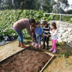 Jardim de Infância da Santa Casa da Misericórdia de Fão participa na iniciativa Vamos Ajudar a Maria Repolha! 5 JIFao 51 1