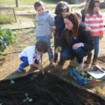 Jardim de Infância da Santa Casa da Misericórdia de Fão participa na iniciativa Vamos Ajudar a Maria Repolha! 6 JIFao 7 1