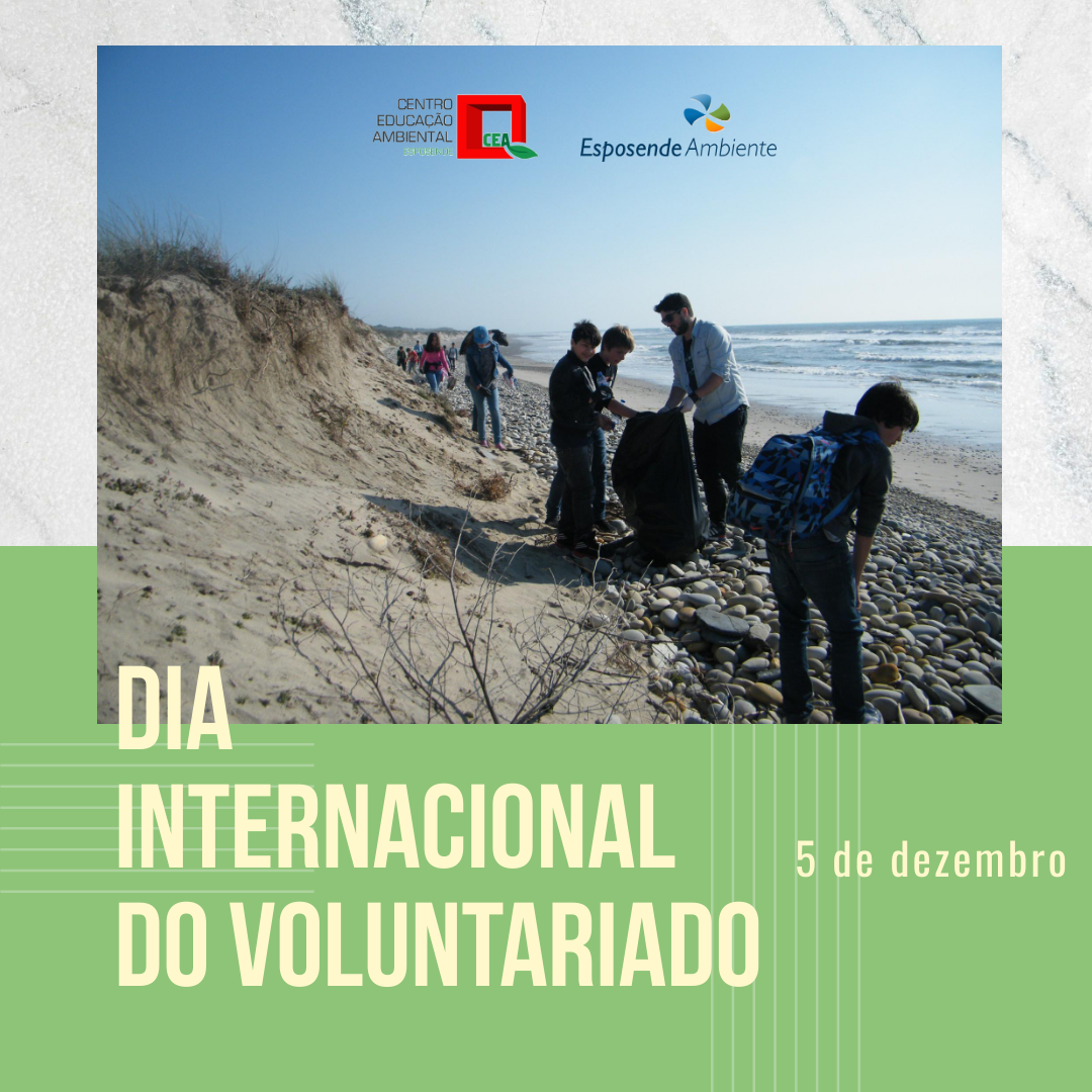 dia internacional voluntariado